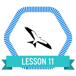 Badge icon "Bird (7132)" provided by The Noun Project under Creative Commons CC0 - No Rights Reserved