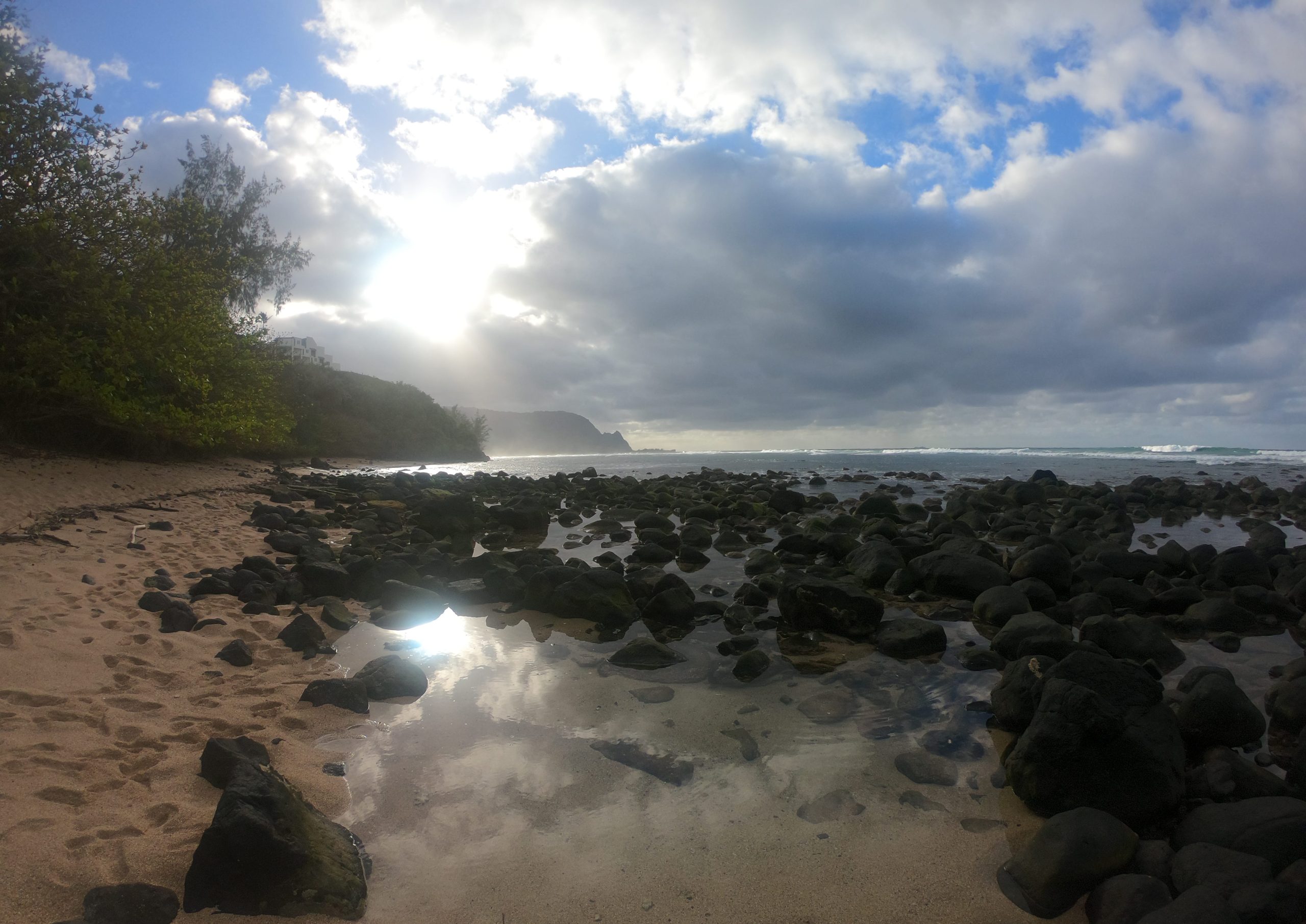 Divine Light on Kauai - Feb. 2018 Copyright Steve J Davis